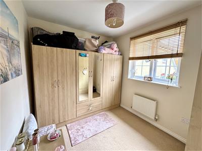 Picture 20
